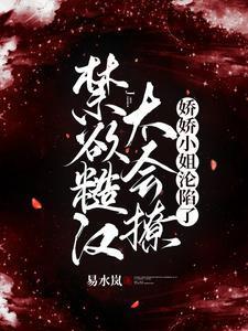 娇娇小姐沦陷了 作者易水岚著
